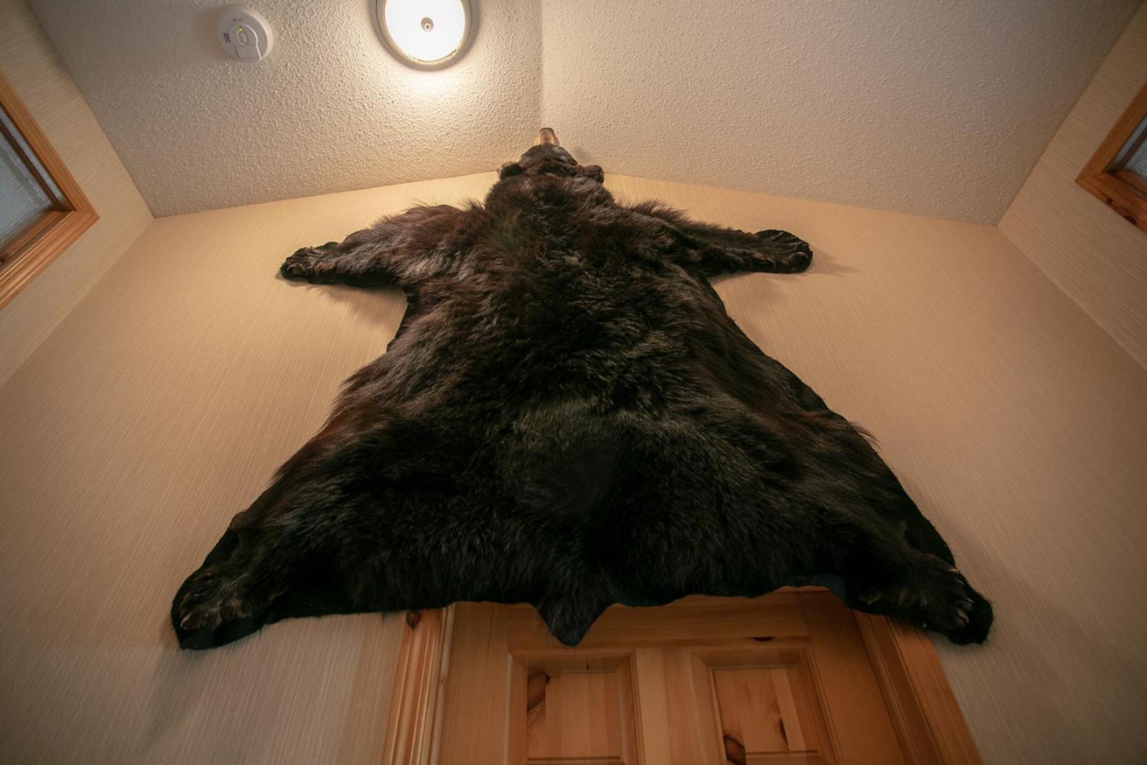 Banff Wood Lodge Кенмор Екстер'єр фото
